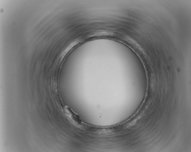 X0000073921321200609082228