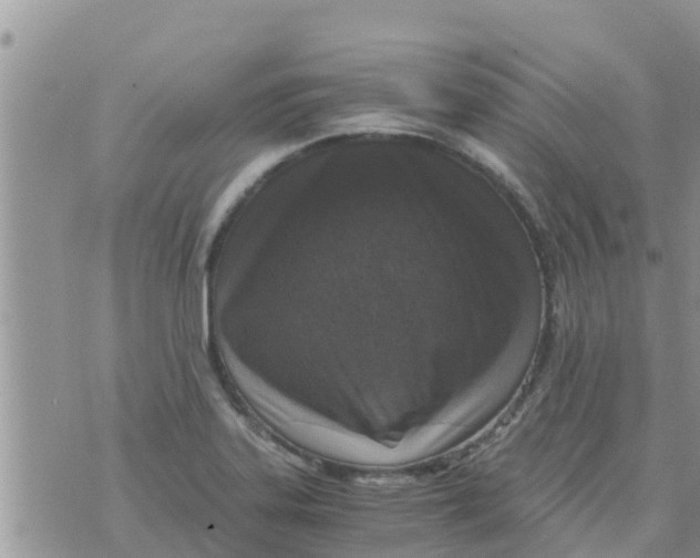 X0000073921323200609082228