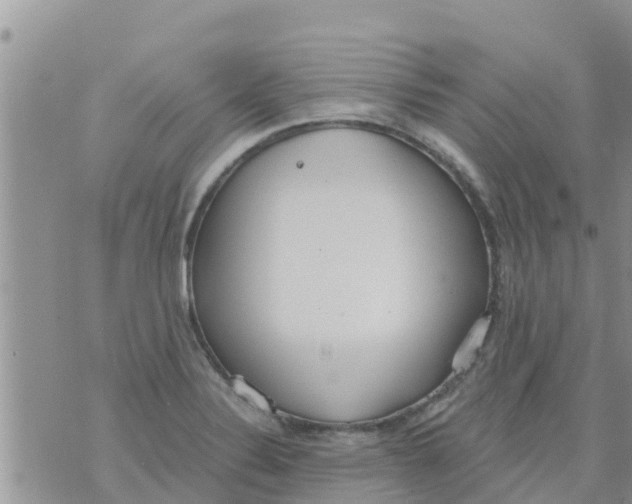 X0000073921324200609082228