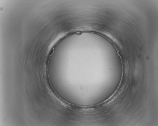 X0000073921325200609082228