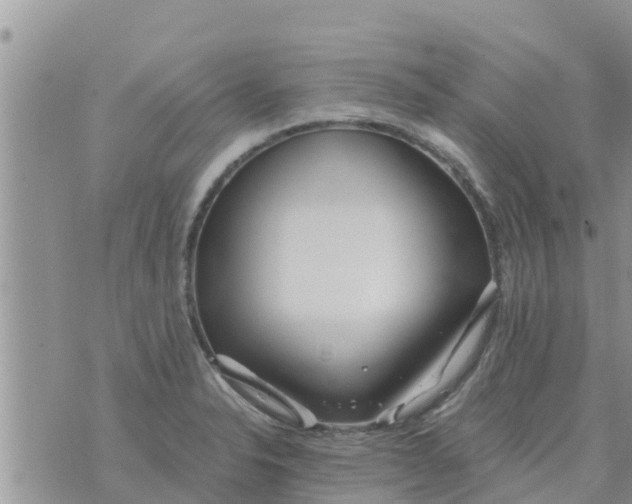 X0000073921326200609082228