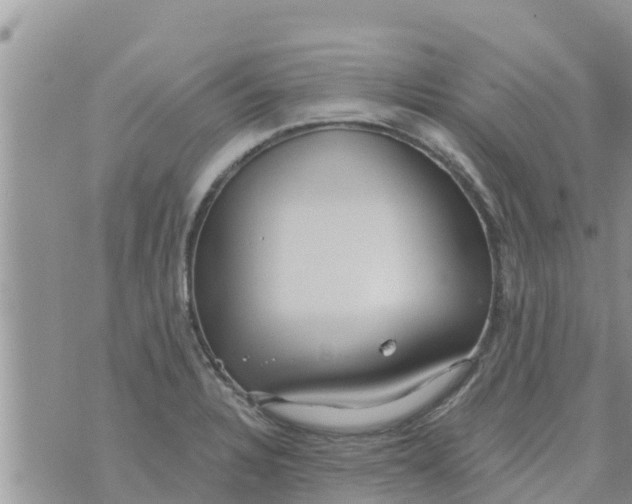 X0000073921328200609082228