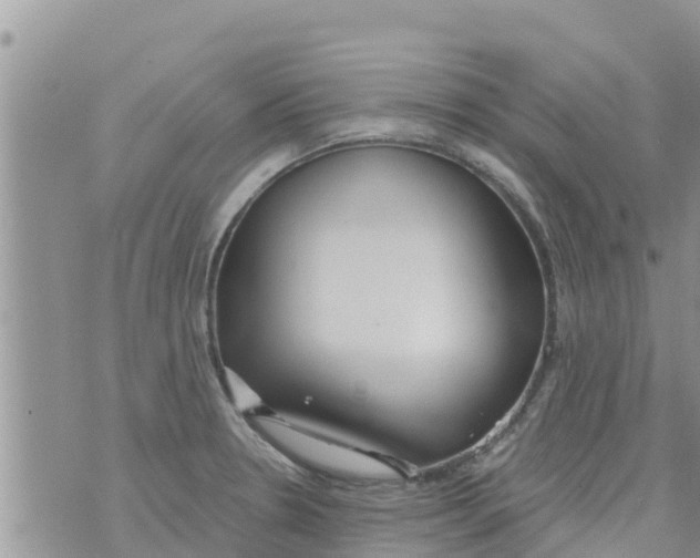 X0000073921330200609082228