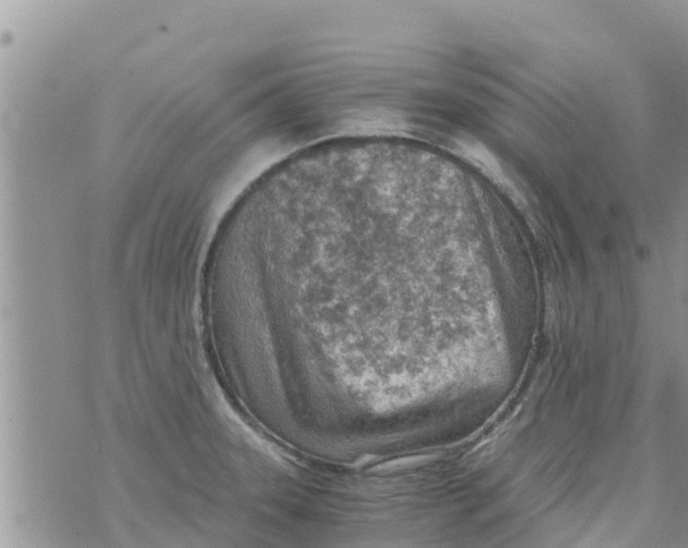 X0000073921331200609082228