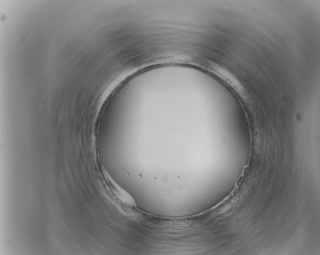 X0000073921332200609082228