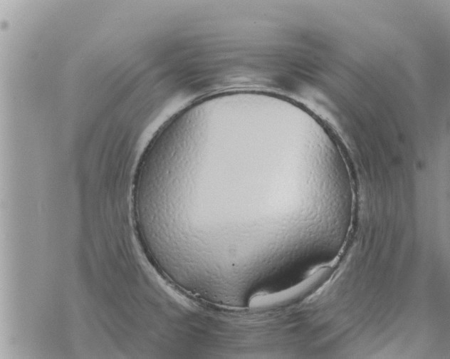 X0000073921333200609082228