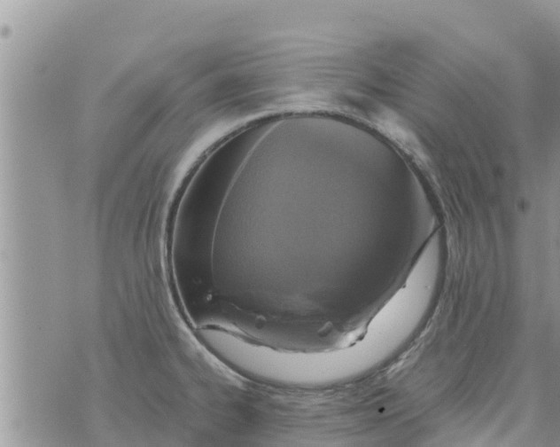 X0000073921334200609082228