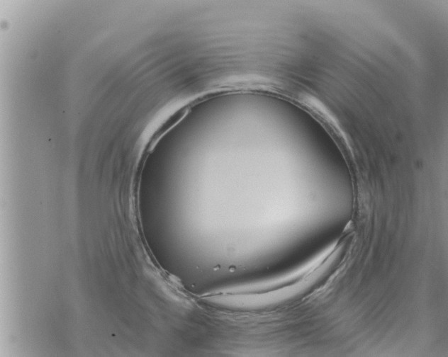 X0000073921336200609082228