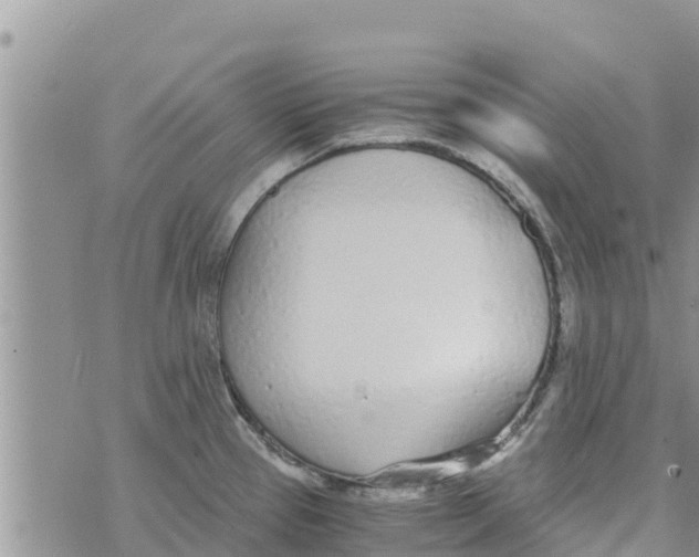 X0000073921337200609082228