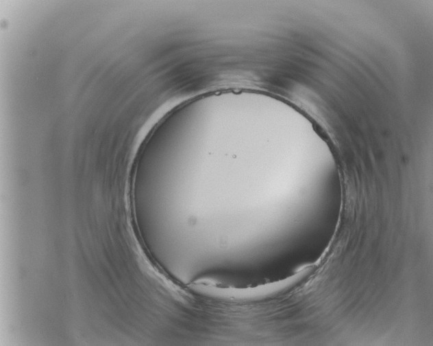 X0000073921339200609082228