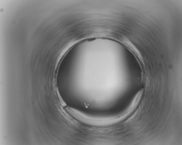 X0000073921340200609082228