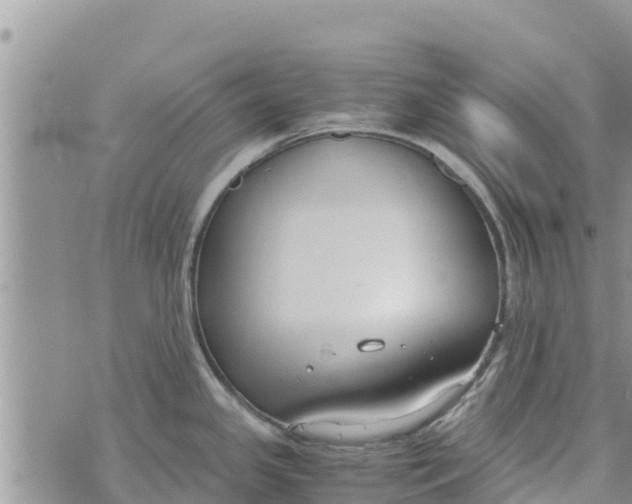 X0000073921341200609082228