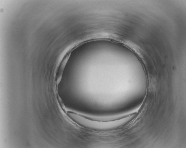 X0000073921342200609082228