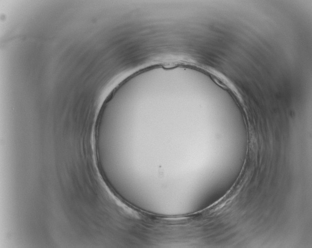 X0000073921343200609082228