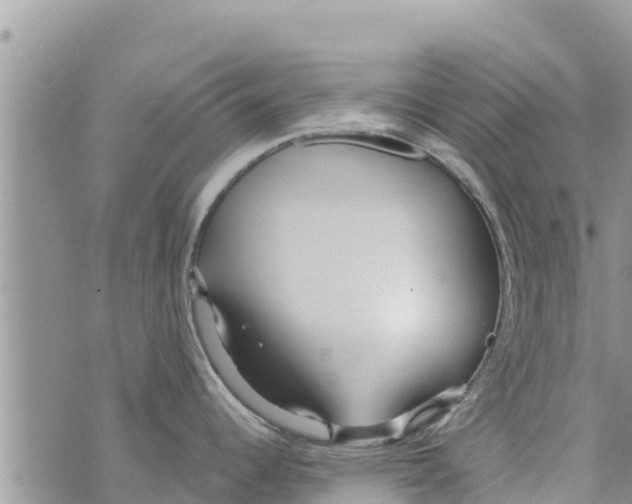 X0000073921344200609082228