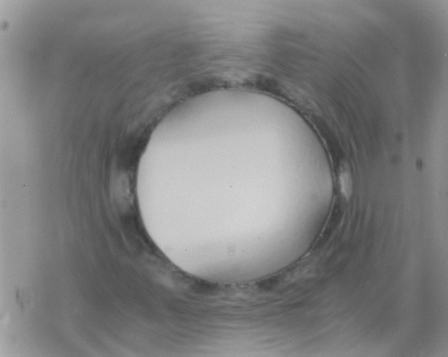 X0000073921347200609082227