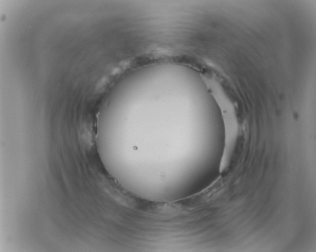 X0000073921348200609082227