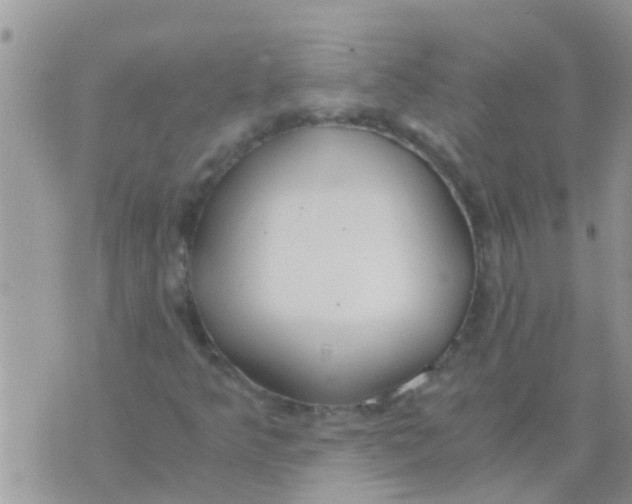 X0000073921349200609082227