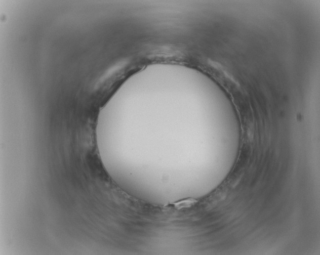 X0000073921350200609082227