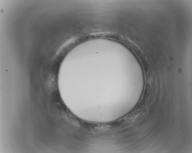 X0000073921351200609082227