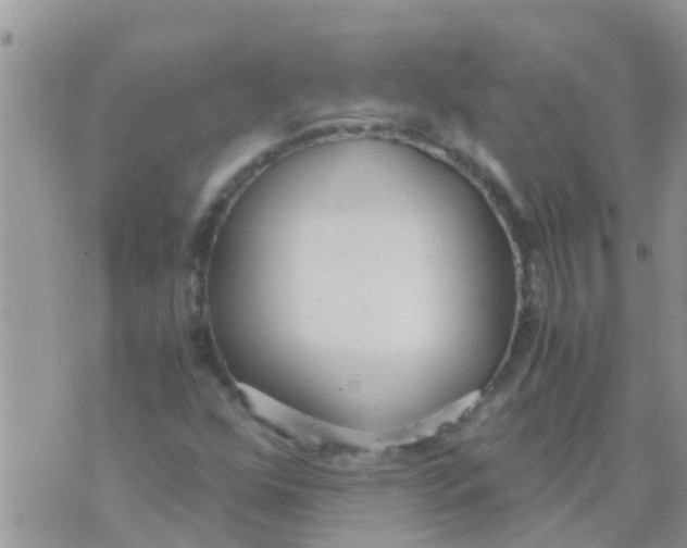 X0000073921352200609082227