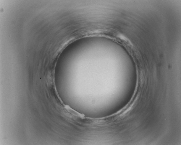 X0000073921353200609082227