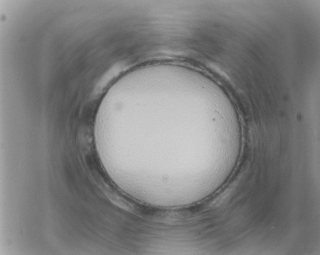 X0000073921355200609082227