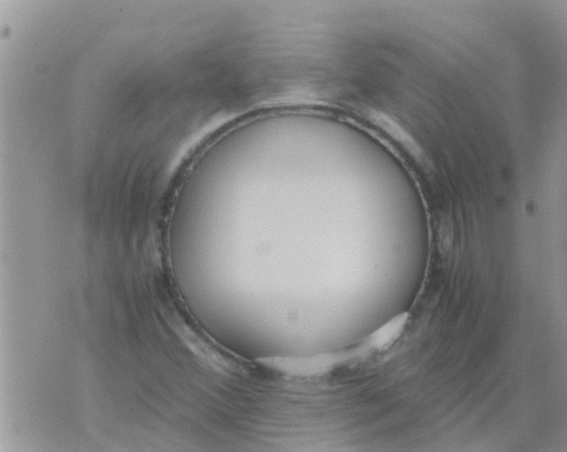 X0000073921356200609082227