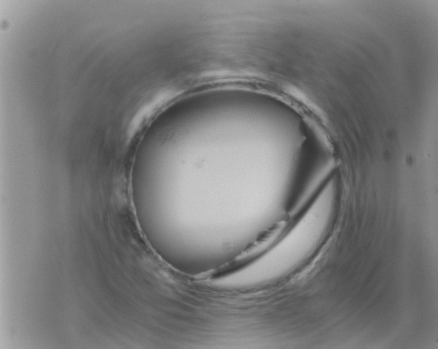 X0000073921357200609082227