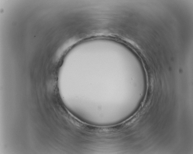 X0000073921359200609082227