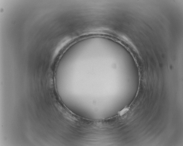 X0000073921360200609082227