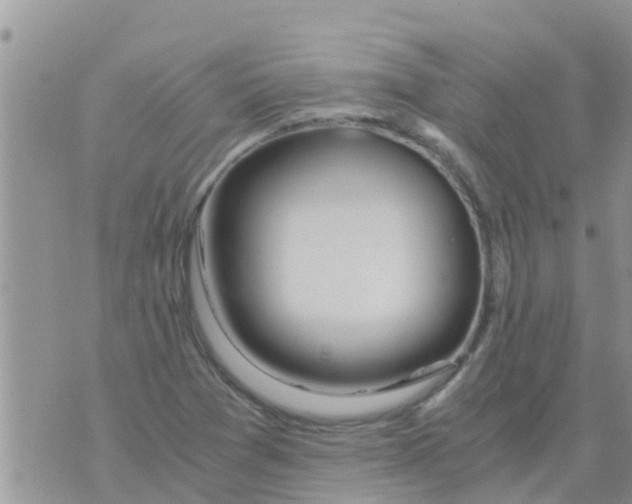 X0000073921361200609082227