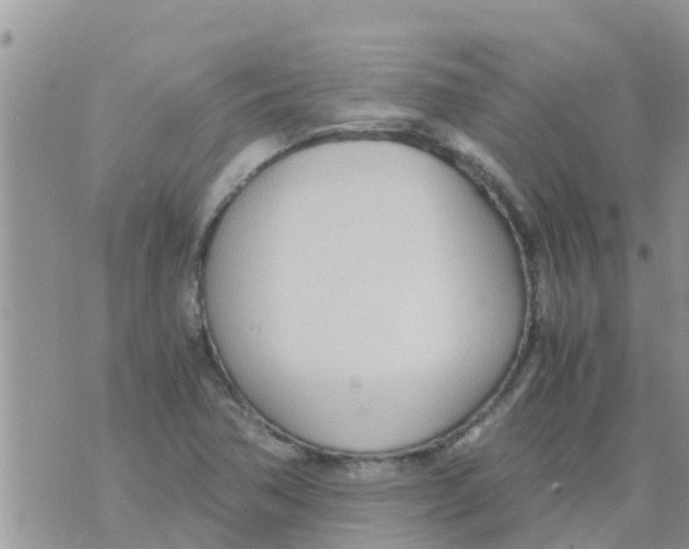 X0000073921362200609082227