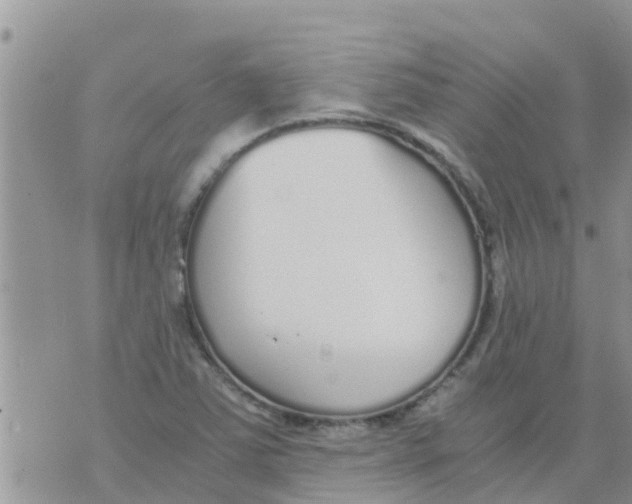 X0000073921363200609082227