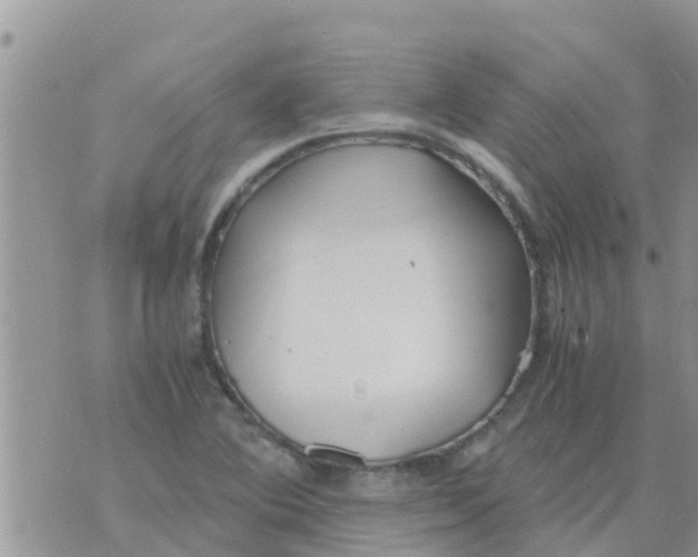 X0000073921364200609082227