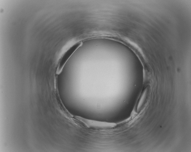 X0000073921365200609082227