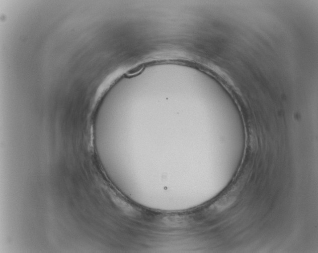 X0000073921366200609082227