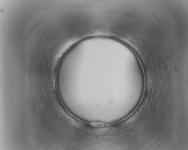 X0000073921367200609082227