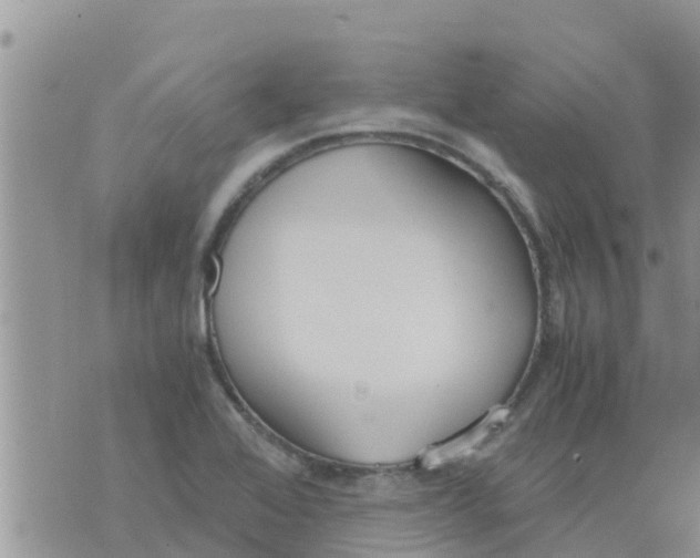 X0000073921368200609082227