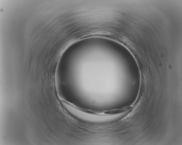 X0000073921369200609082227