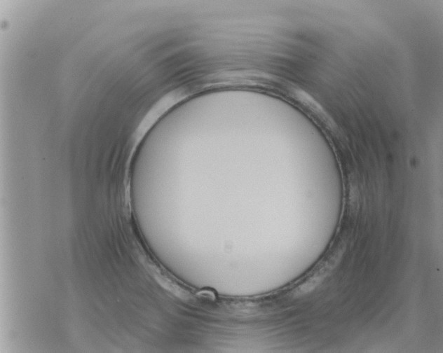 X0000073921370200609082227