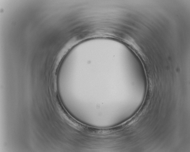 X0000073921371200609082227