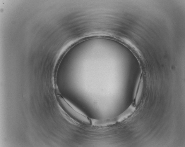 X0000073921372200609082227