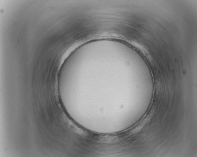 X0000073921374200609082227