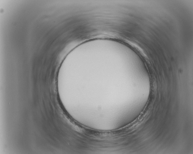 X0000073921375200609082227