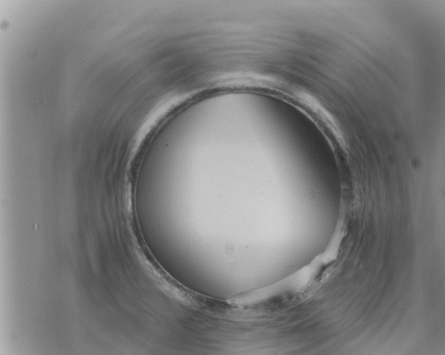 X0000073921376200609082227