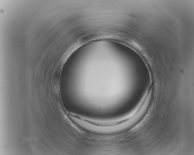 X0000073921377200609082227