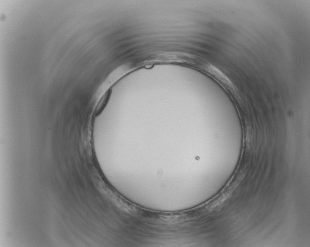 X0000073921378200609082227