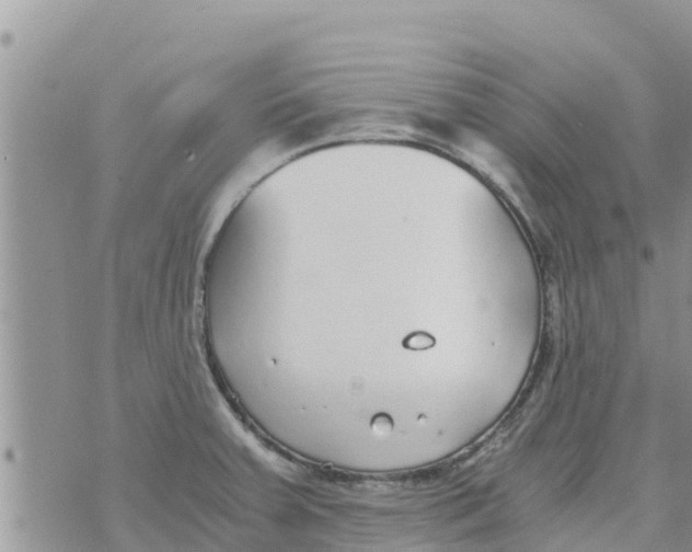 X0000073921379200609082227