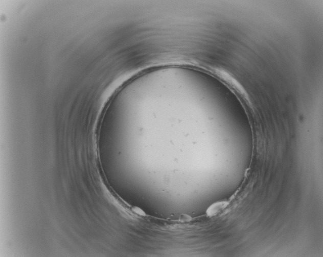 X0000073921380200609082227